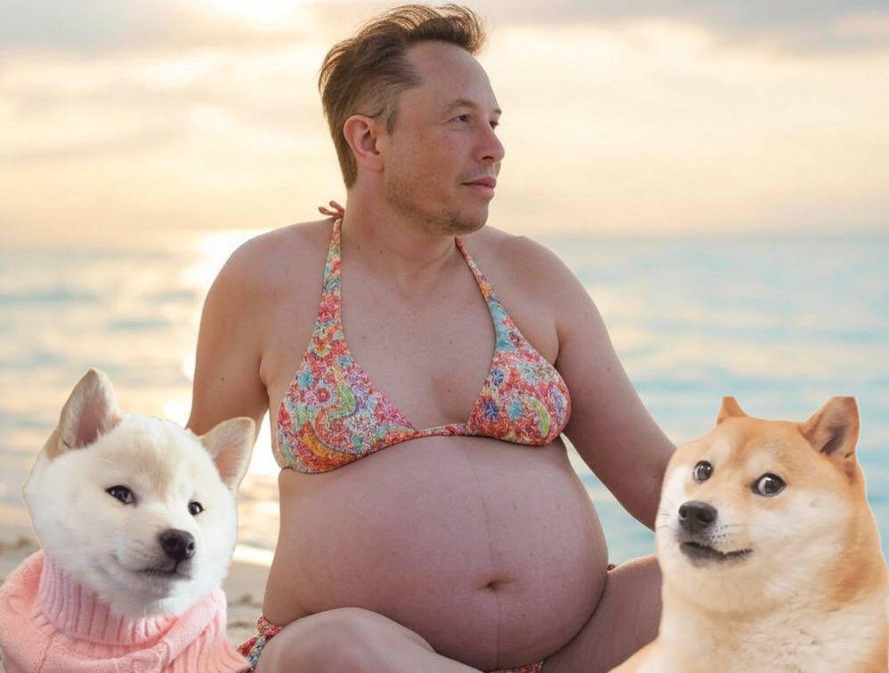 GNOCCHI Meme by buy/$gnocchi