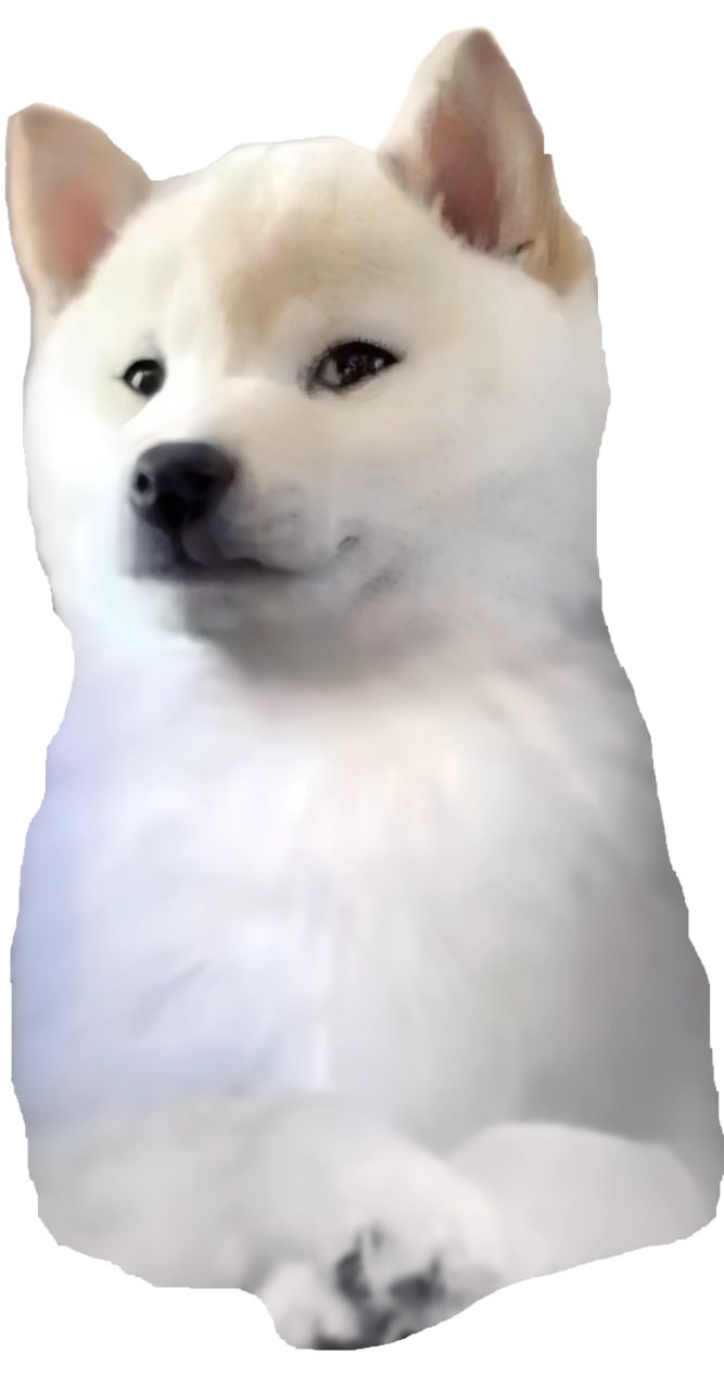 GNOCCHI Meme by buy/$gnocchi