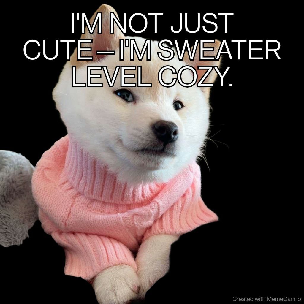 GNOCCHI Meme by buy/$gnocchi