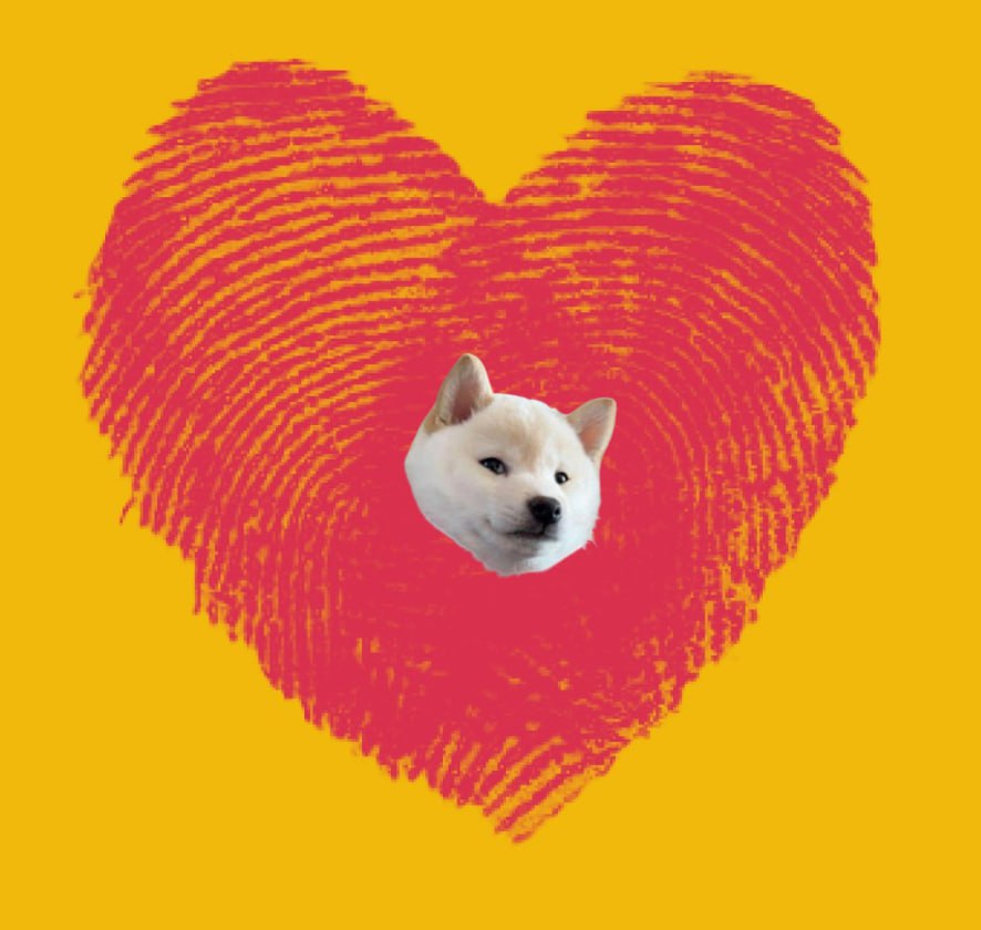 GNOCCHI Meme by buy/$gnocchi